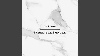 In Stone: Bernini's 