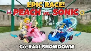 Mario and Sonic Hunt Adventure! Luigi/Shadow/Toad/Tails/Yoshi/Knuckles/Bowser/Dr. Eggman/Princess