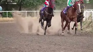 Pari hippique hors pmu : Comment parier sur les courses de chevaux ?