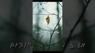 겨울의 문턱에서.  11월 마지막 잎새