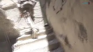 SDF footage of fierce fighting inside Raqqa city in west and east front