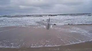 Bałtyk / Baltic Sea 11.01.2026r.