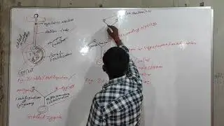 Lecture No.2 Reproduction in Flowering Plants, Mechanism of Artificial Hybridization,