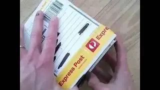 Unboxing Golden Huntsman Spider (Beregama aurea) from Minibeast Wildlife