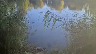 Friedrich Ebert Park 09.10.2022