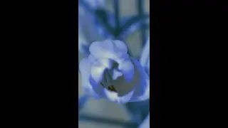 Unique Flower Quote