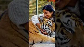 A hug like no other. 🐯✨ Pure magic in the autumn sun.