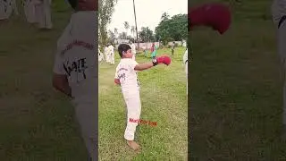 kick training #shorts #youtubeshort #viral #kicktraining #karate #karateka #pratice