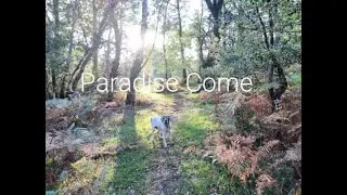Paradise Come