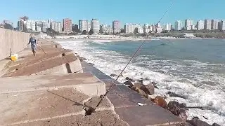 MI&Eacute;RCOLES 18 DE FEBRERO 2026.