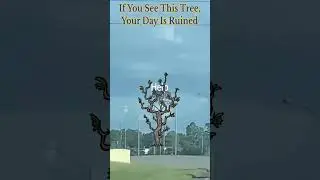 Twiggy Trees Are VOMIT-INDUCING! DST OP #shorts  #dontstarvetogetherguide #dst #gaming #dontstarve