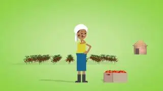 How a smartphone app is improving the livelihoods of farmers in Zimbabwe