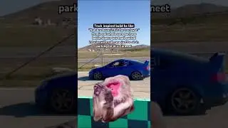 Ngl ive seen more shitboxes than these track inspired build at track day. #cars #rsx #meme #carmemes