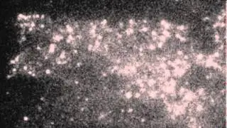 Photoactivation localisation microscopy at the plasma membrane