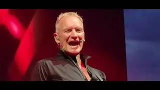Sting 