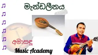 මැන්ඩලීනය || How to play Mandoline || අමාසඳූ Music Academy || 🎶