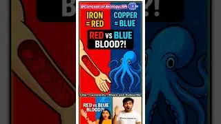 Why Is Octopus Blood Blue? Science Will Blow Your Mind! 🐙💉 #Shorts #ScienceFacts #Biology