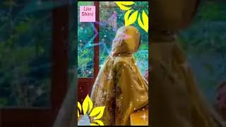 🌹🌹🌹🌹 #allview #musicgenre #shortsfeed #allviews #musicsong #musicsong #allviewers #musicstyle