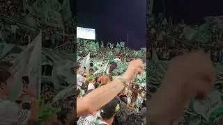 verde doy todo por verte Los Del Sur Oficial