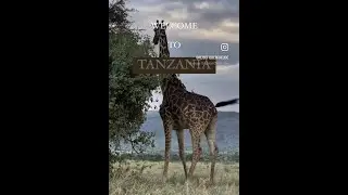 Top 10 African Safari Guide Cover - Tanzania