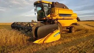 Уборка зерновых 2019 / комбайн New Holland TC5080