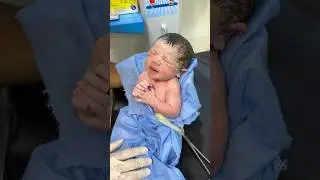 gentlemen and polite baby