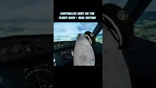 Controlled Rest Seal Flight Deck #avgeek #aviation #flying