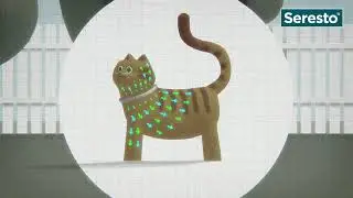 Seresto chat - Collier anti-puces et anti-tiques pour chat - Vetostore