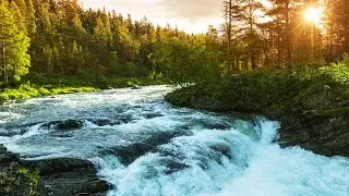 Meditation | Being In Your Flow State