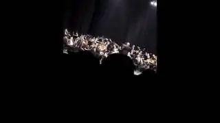 Heldenleben concertmaster solo