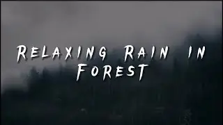 Relaxing Rain in Forest | Relaxing Rain Sounds With Bird Sounds | Better Sleep
