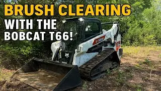 Epic Brush Clearing with a Bobcat T66 Skid Steer