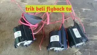 tips beli flyback tv