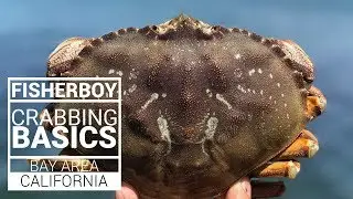 How-To Catch Dungeness Crabs and Rock Crabs in the Bay Area Using Crab Snares