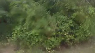 Komplete Landscape Contractors Mower Cam - Exmark Vertex X Series 72 Action (9/16) (GoPro)