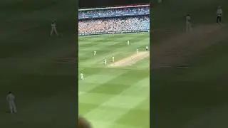 DOUBLE CENTURY CELEBRATION FOR DAVID WARNER 🤩#shorts #cricketcult #cricket