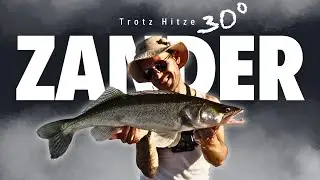Sauerstoffarmut im Hamburger Hafen☠️ - Wie man trotzdem Zander f&auml;ngt🎣