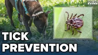 Pennsylvania health officials stress Lyme disease prevention