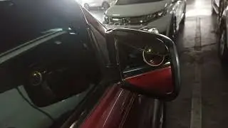 Side mirror visor, Ford Ranger Trekker 4x2, Andy Yao