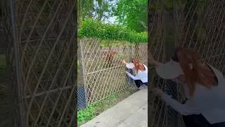 This technique works best for fencing on land