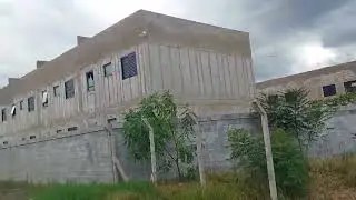 Aqui é só alegria 