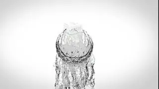 Fountain of life real Testionies.