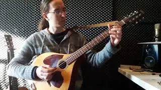 Irish Bouzouki - The Cat's Meow