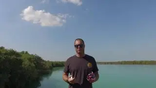 How does 360 Imagery Contribute to Conservation?