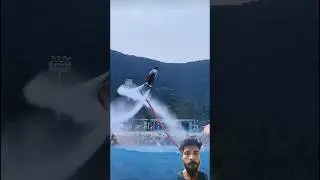Amazing Flyboard Girl🌊😍 Freestyle at Waterpark #trending #ytshorts #shorts #reaction #youtubeshorts