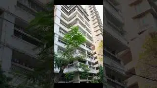 Parsi Mumbai lifestyle #trending #love #travel #short #viral #mumbai