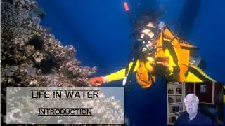 Life in the Water Introduction - L4.1
