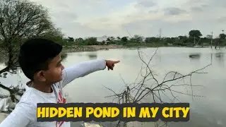 Hidden Pond In My City