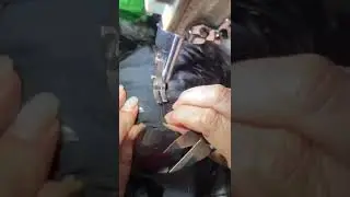 How to Sewing Hair Bundles For Wigs? Wig Making Process#wigs #wigmaker #shorts