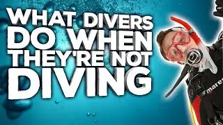What Divers Do When They're Not Diving